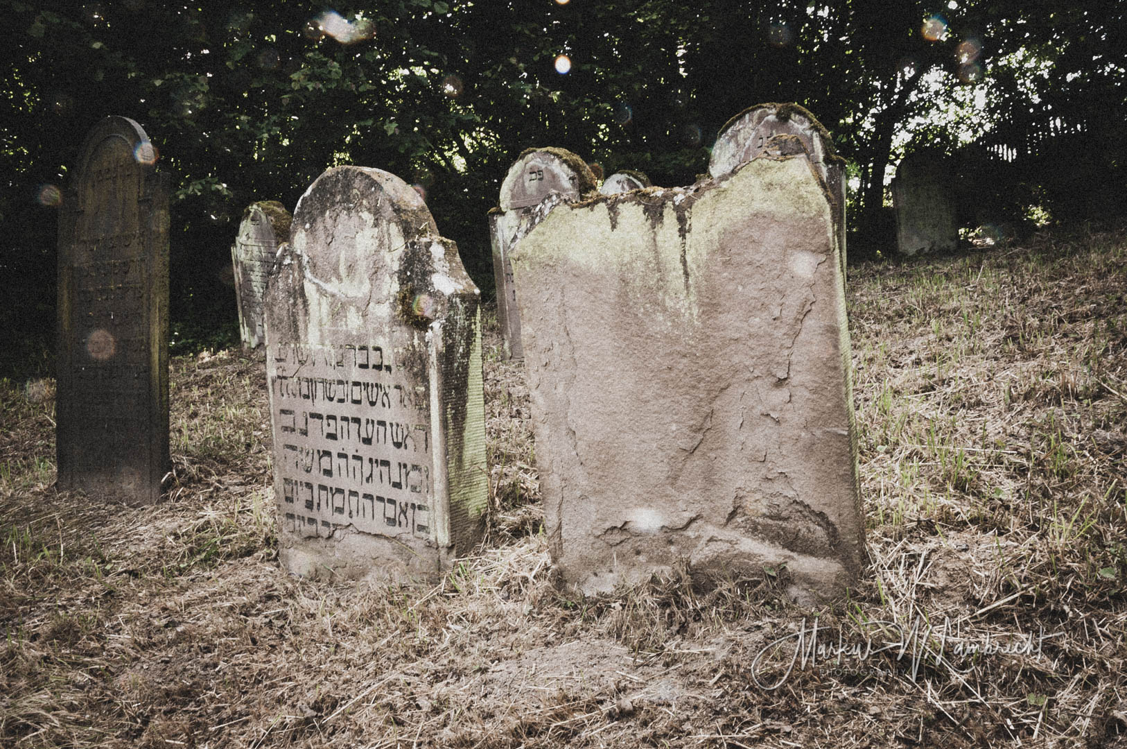Jüdischer Friedhof Sielen